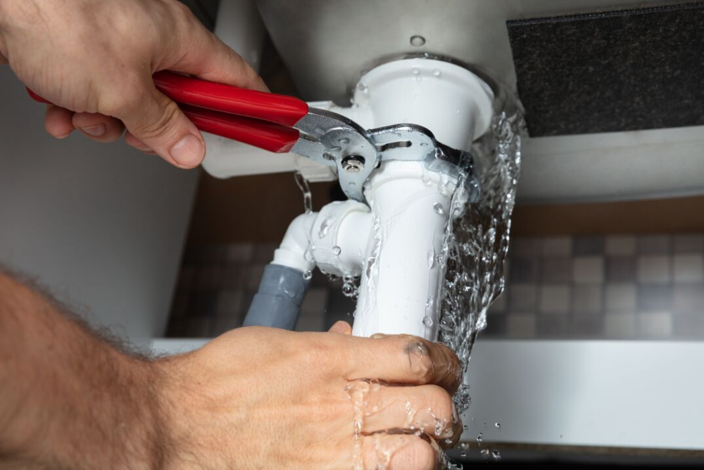 Plumbing Issues or Pipe Damage