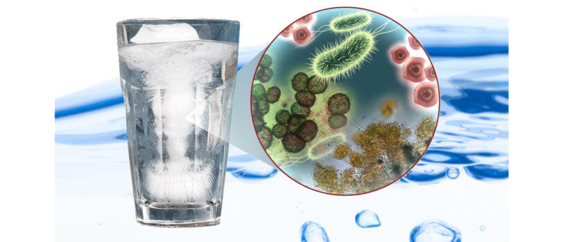 Common Contaminants Found in Water