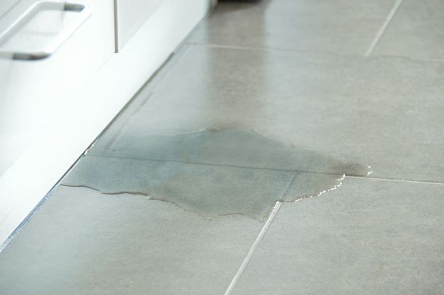 Water Leak